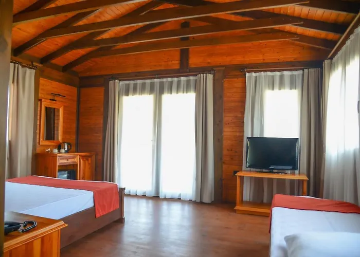 Hotel Enso 3*