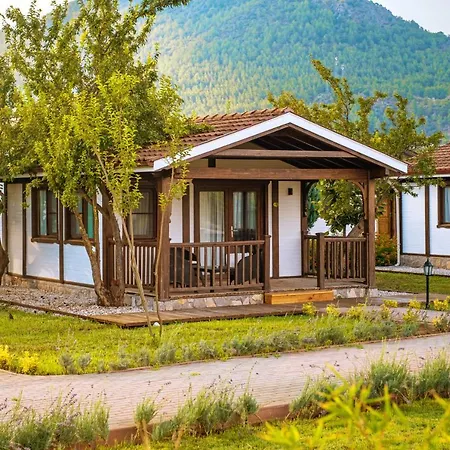 Ensoinn Hotel 3*